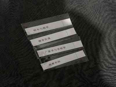 waswaskino:揭示waswaskino背后的秘密与文化意义 